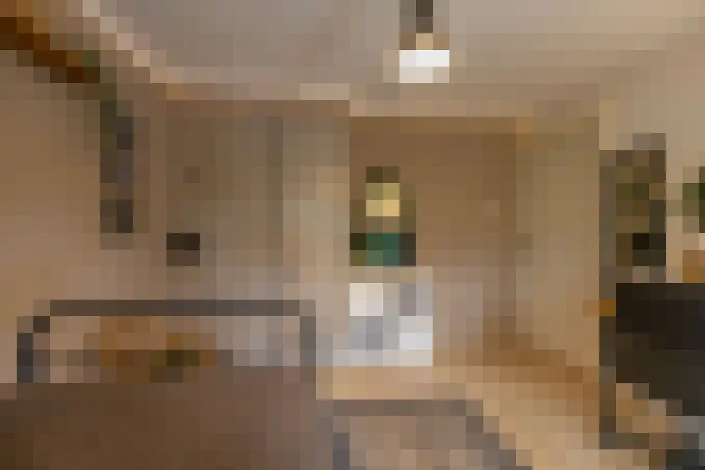 Helper Brink 29 a Groningen thumbnail 25