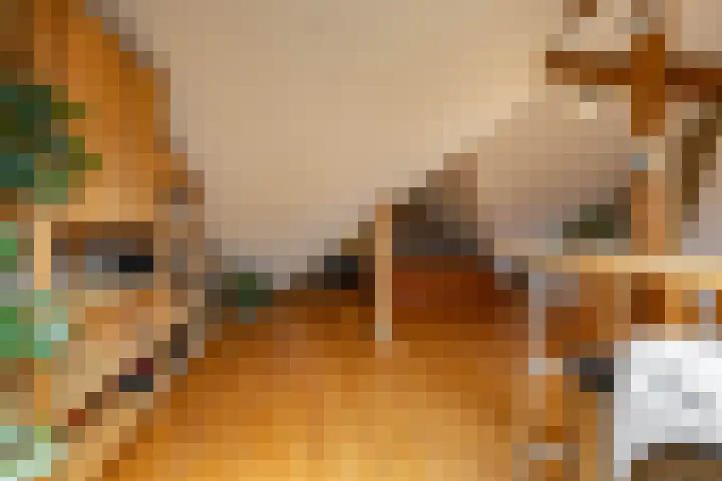 Helper Brink 29 a Groningen thumbnail 36