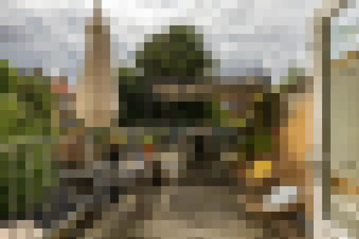 Helper Brink 29 a Groningen thumbnail 4