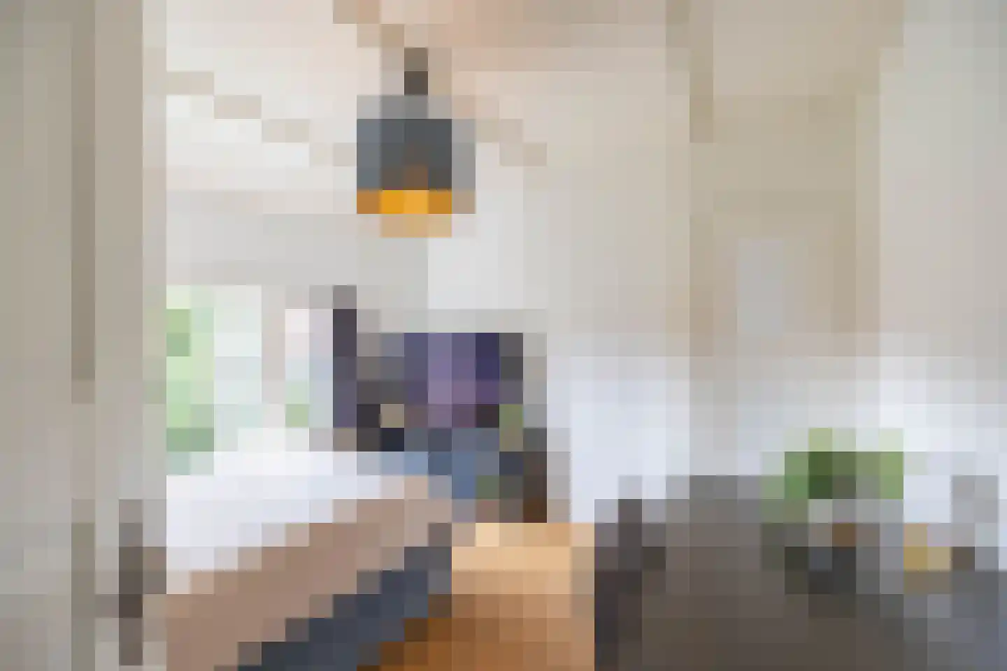 Helper Brink 31 a Groningen thumbnail 23