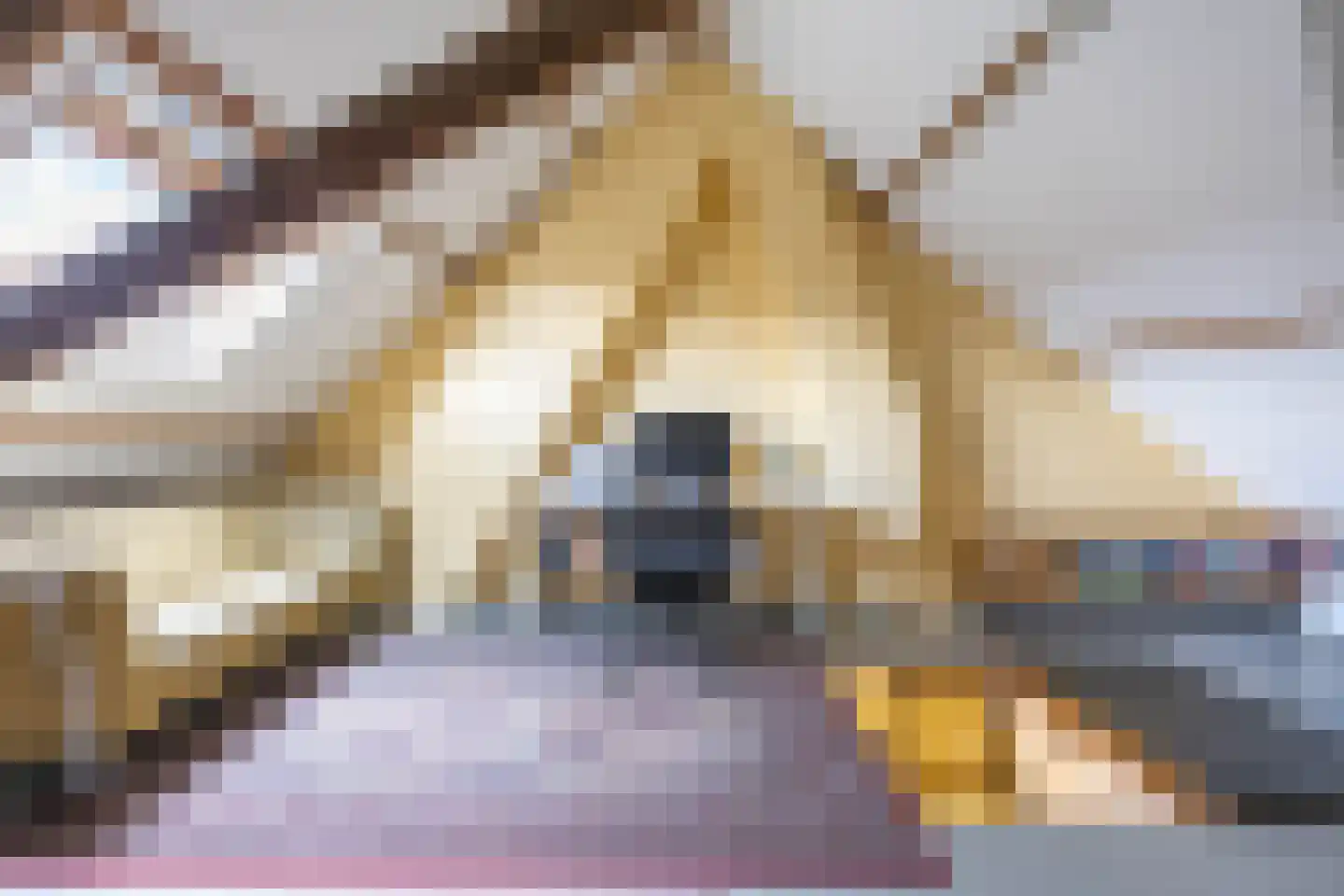 Helper Brink 31 a Groningen thumbnail 36
