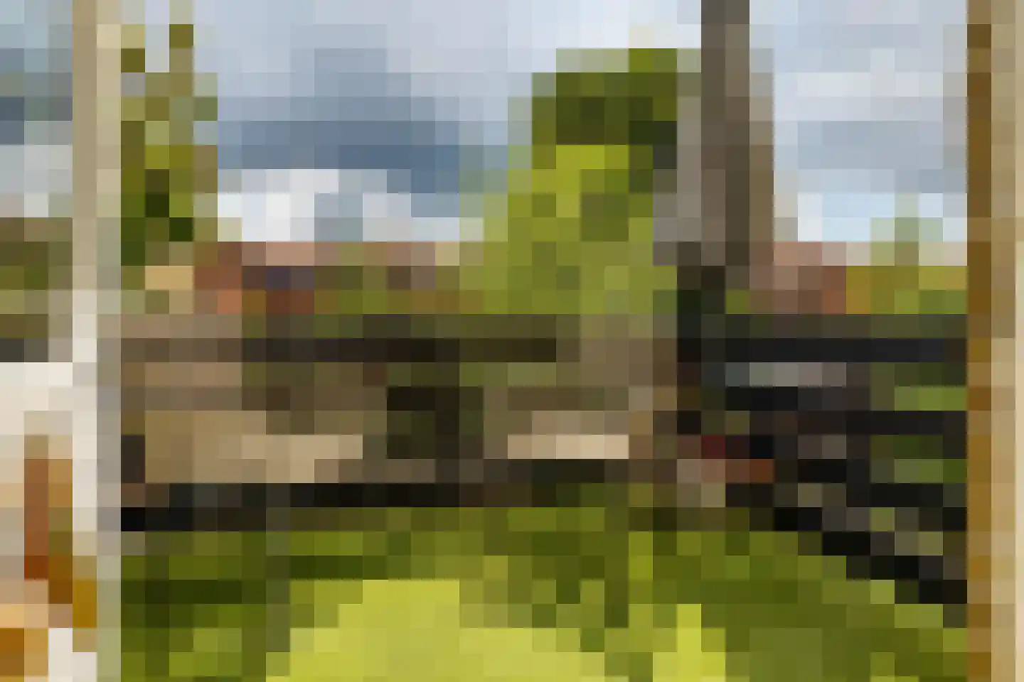 Helper Brink 31 a Groningen thumbnail 4