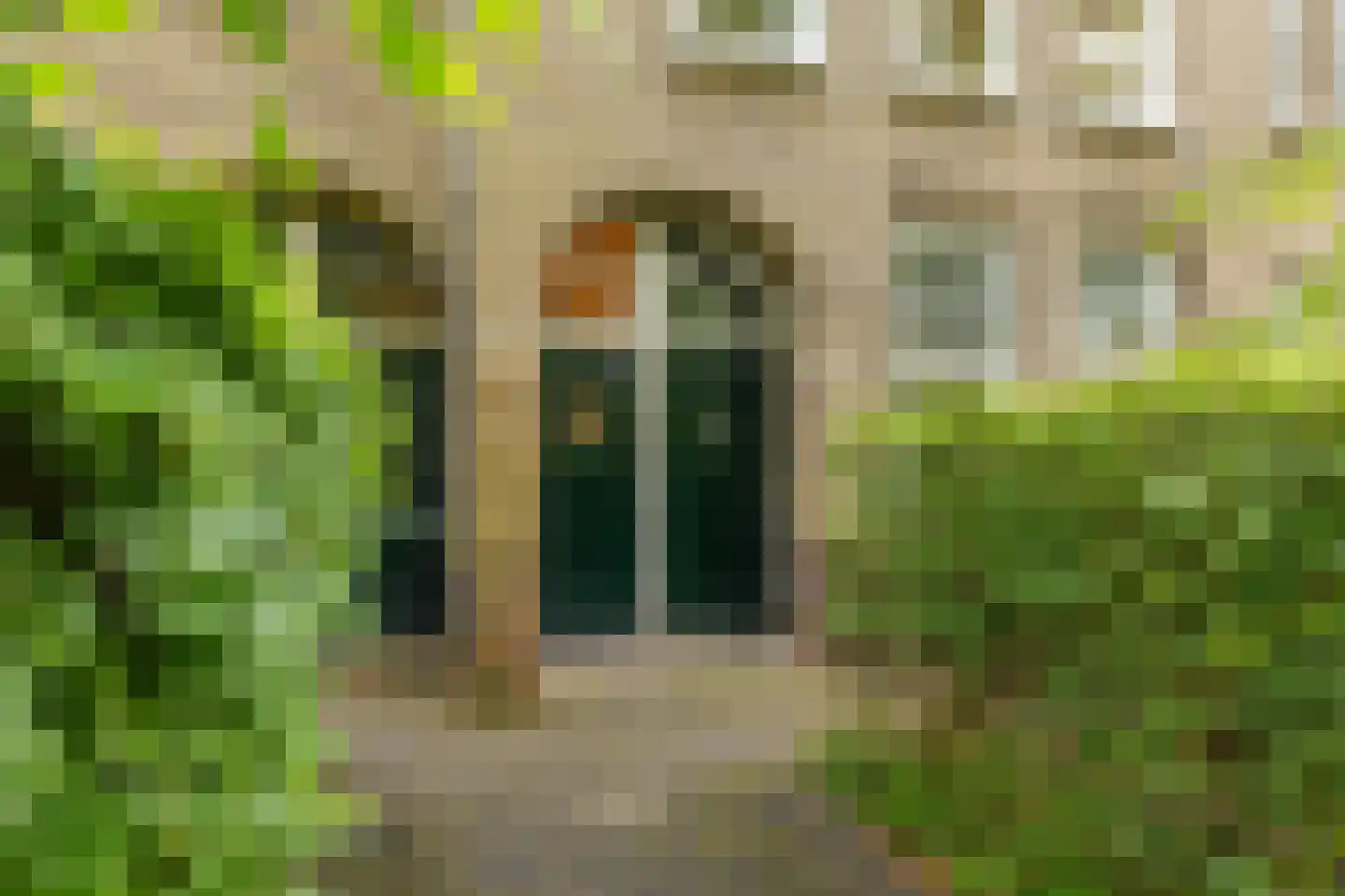 Helper Brink 31 a Groningen thumbnail 7