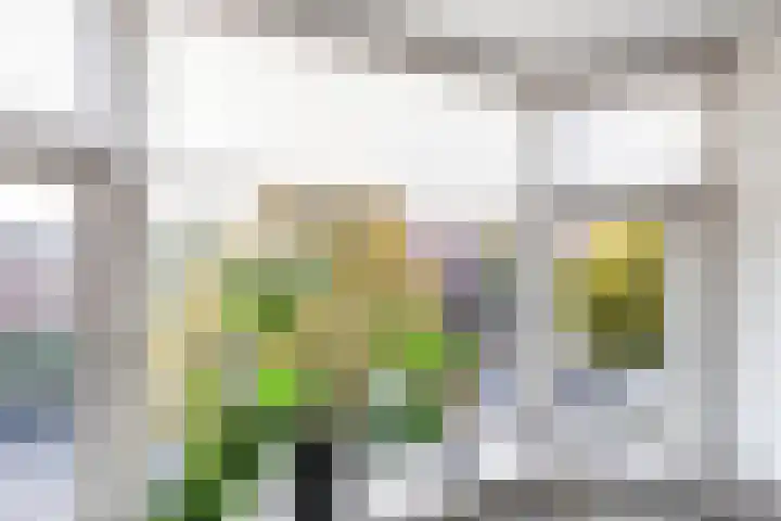 Helper Brink 34 b Groningen thumbnail 11