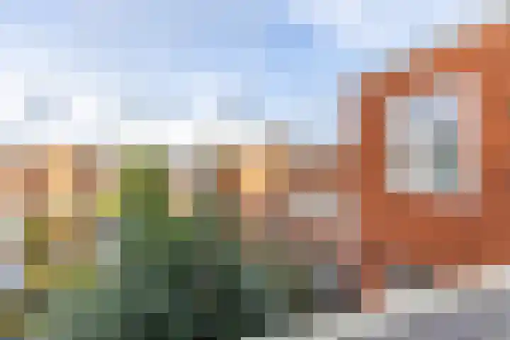 Helper Brink 34 b Groningen thumbnail 33
