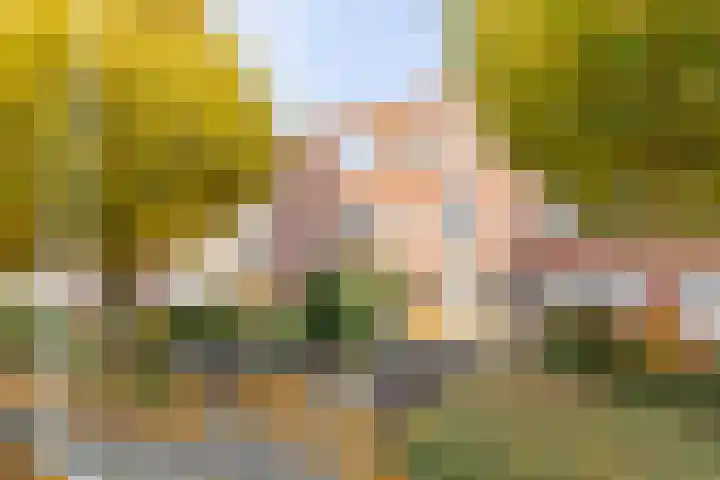 Helper Brink 34 b Groningen thumbnail 34