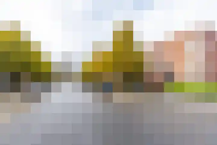 Helper Brink 34 b Groningen thumbnail 35