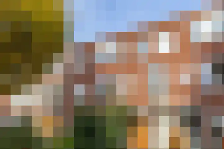 Helper Brink 34 b Groningen thumbnail 4