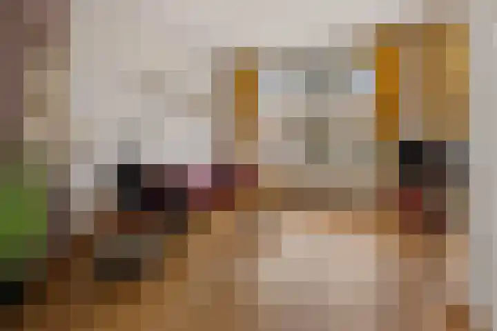 Helper Brink 35 a Groningen thumbnail 14