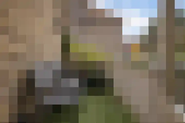 Helper Brink 35 a Groningen thumbnail 29