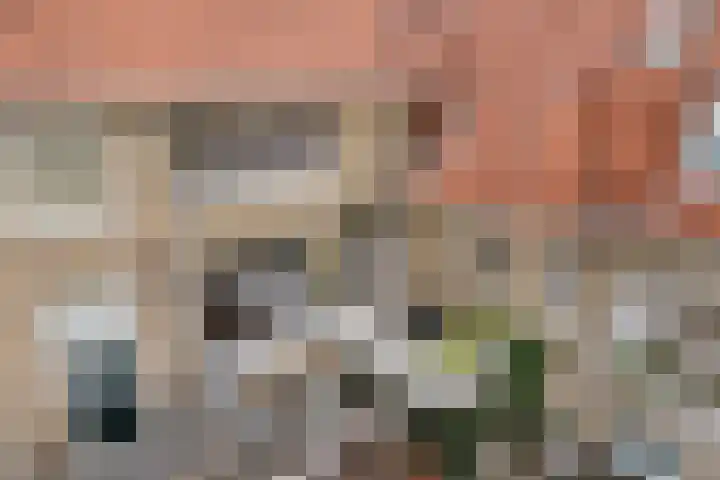 Helper Brink 35 a Groningen thumbnail 51
