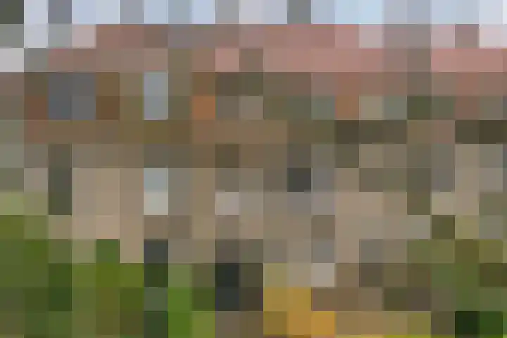 Helper Brink 35 a Groningen thumbnail 53