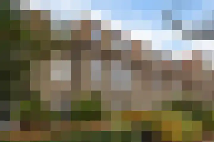 Helper Brink 35 a Groningen thumbnail 7