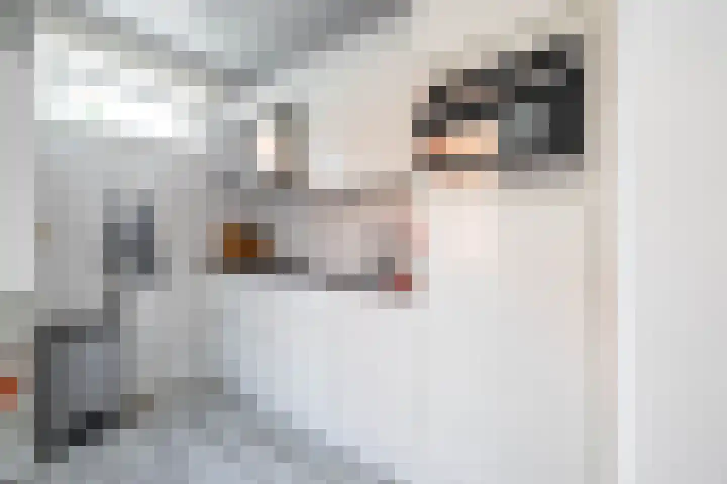 Helper Brink 42 a Groningen thumbnail 23