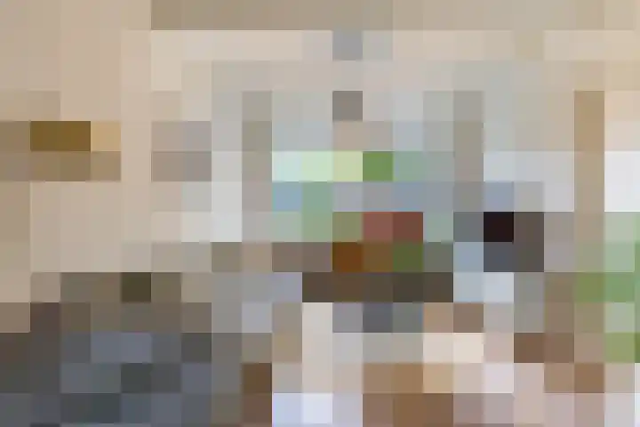 Helper Brink 46 Groningen thumbnail 13