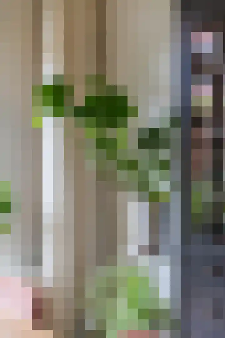 Helper Brink 46 Groningen thumbnail 17