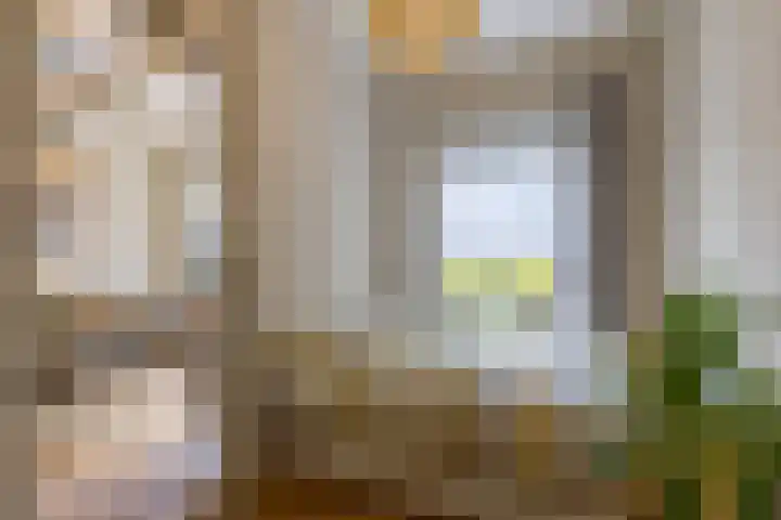 Helper Brink 46 Groningen thumbnail 21