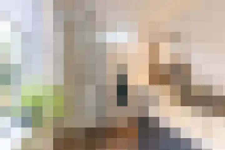 Helper Brink 46 Groningen thumbnail 27