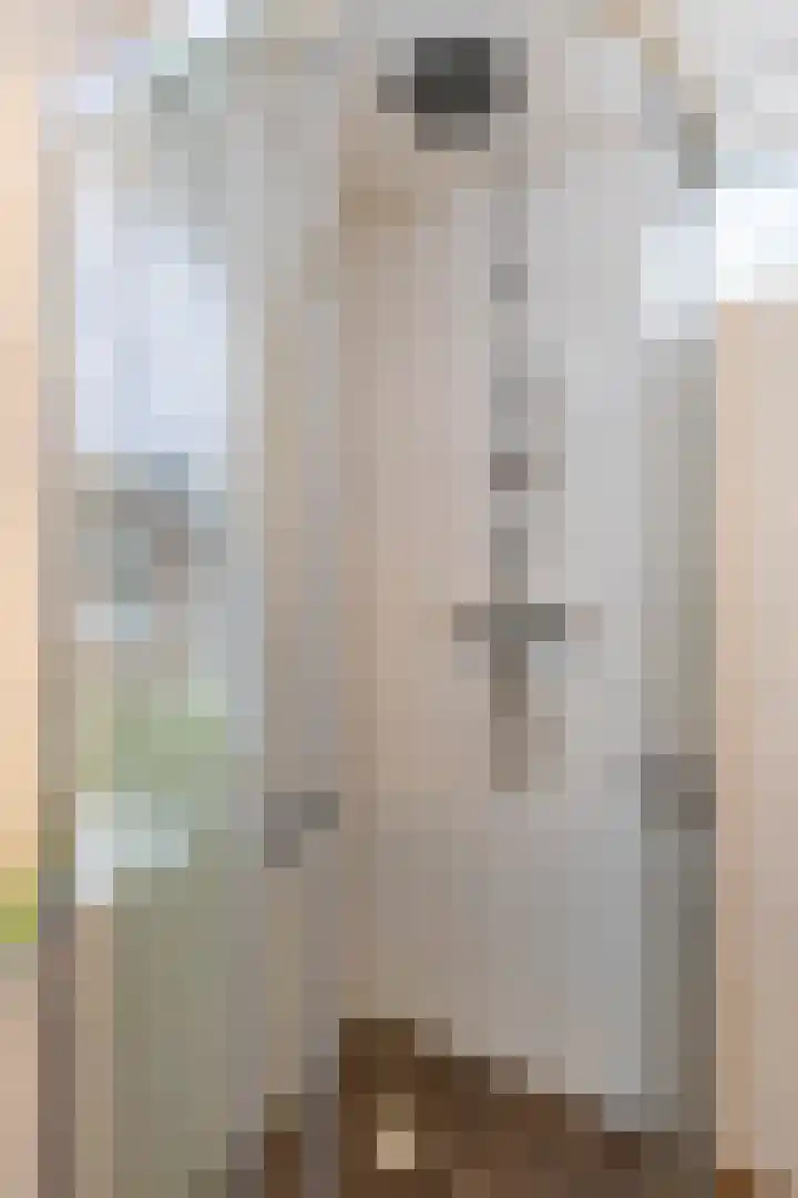 Helper Brink 46 Groningen thumbnail 30