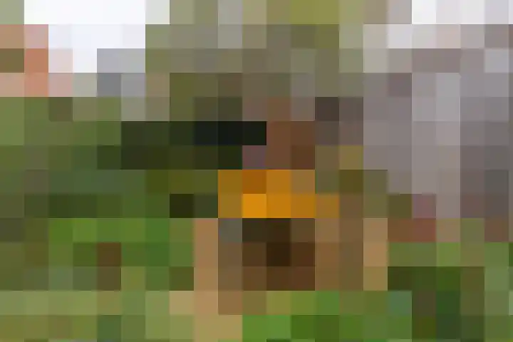 Helper Brink 46 Groningen thumbnail 32