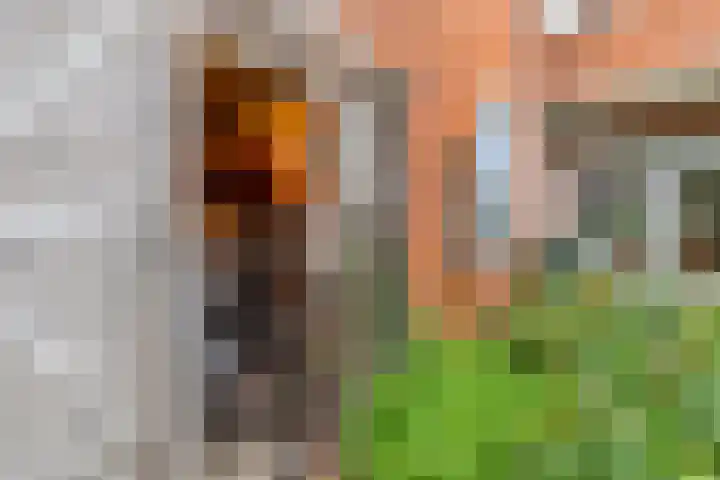 Helper Brink 46 Groningen thumbnail 33