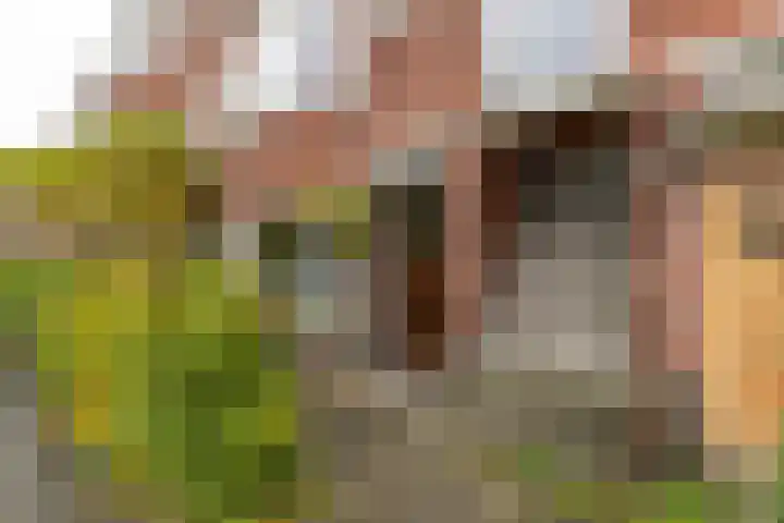 Helper Brink 46 Groningen thumbnail 35