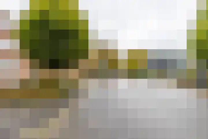 Helper Brink 46 Groningen thumbnail 37