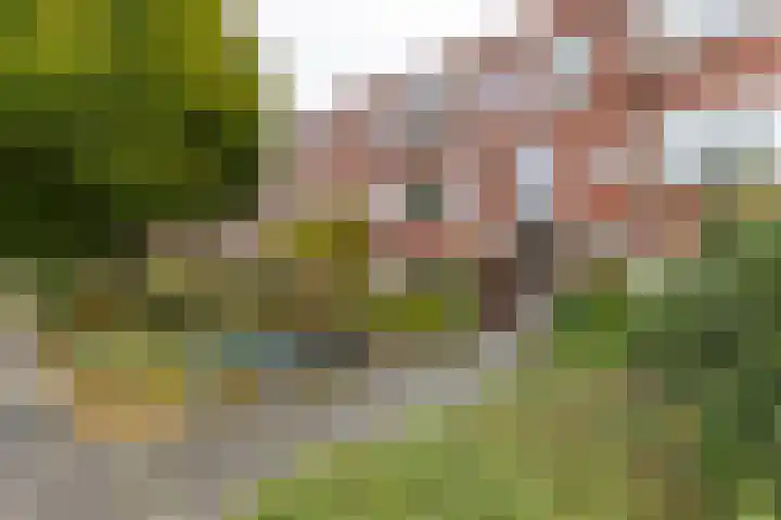 Helper Brink 46 Groningen thumbnail 5