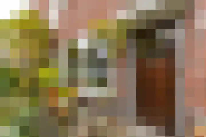 Helper Brink 46 Groningen thumbnail 6