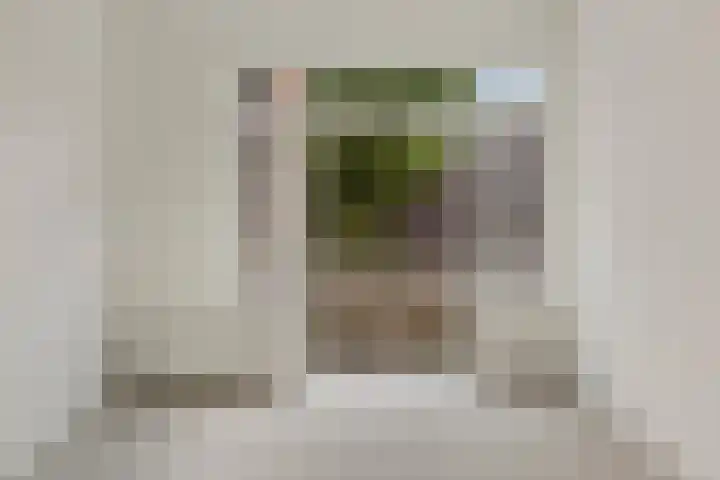 Helper Brink 48 a Groningen thumbnail 12