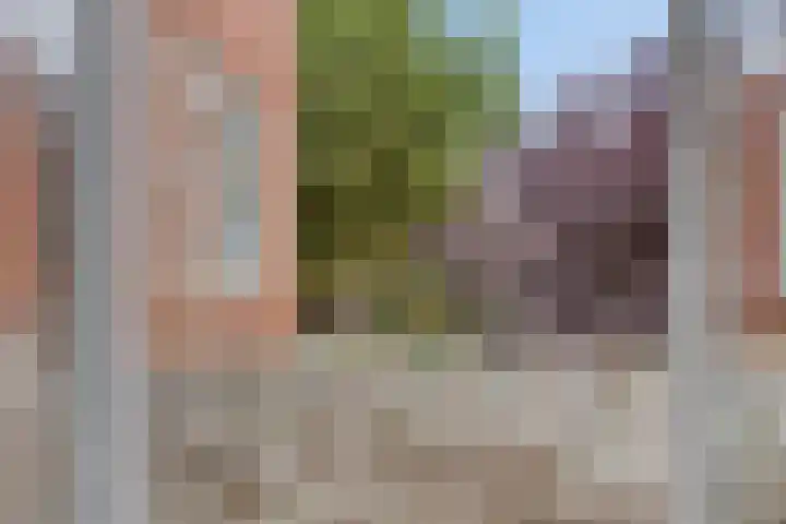 Helper Brink 48 a Groningen thumbnail 13