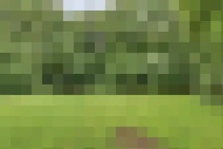 Helper Brink 48 a Groningen thumbnail 30