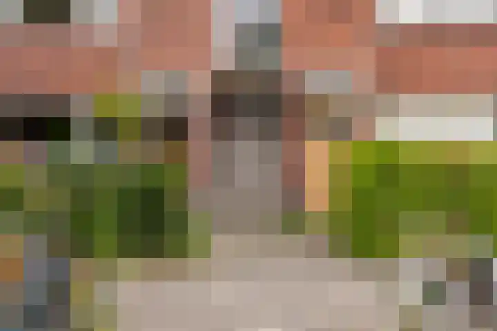 Helper Brink 48 a Groningen thumbnail 5