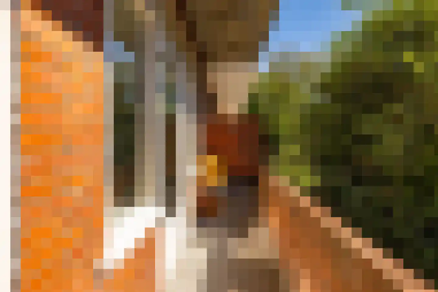 Helper Brink 49 a Groningen thumbnail 15