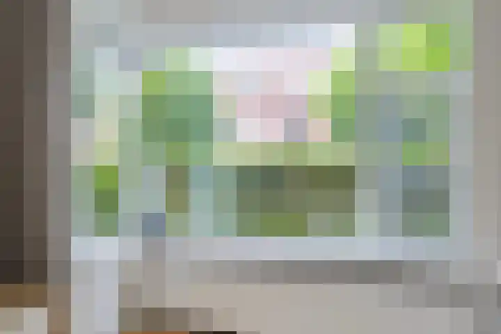 Helper Brink 57 Groningen thumbnail 12
