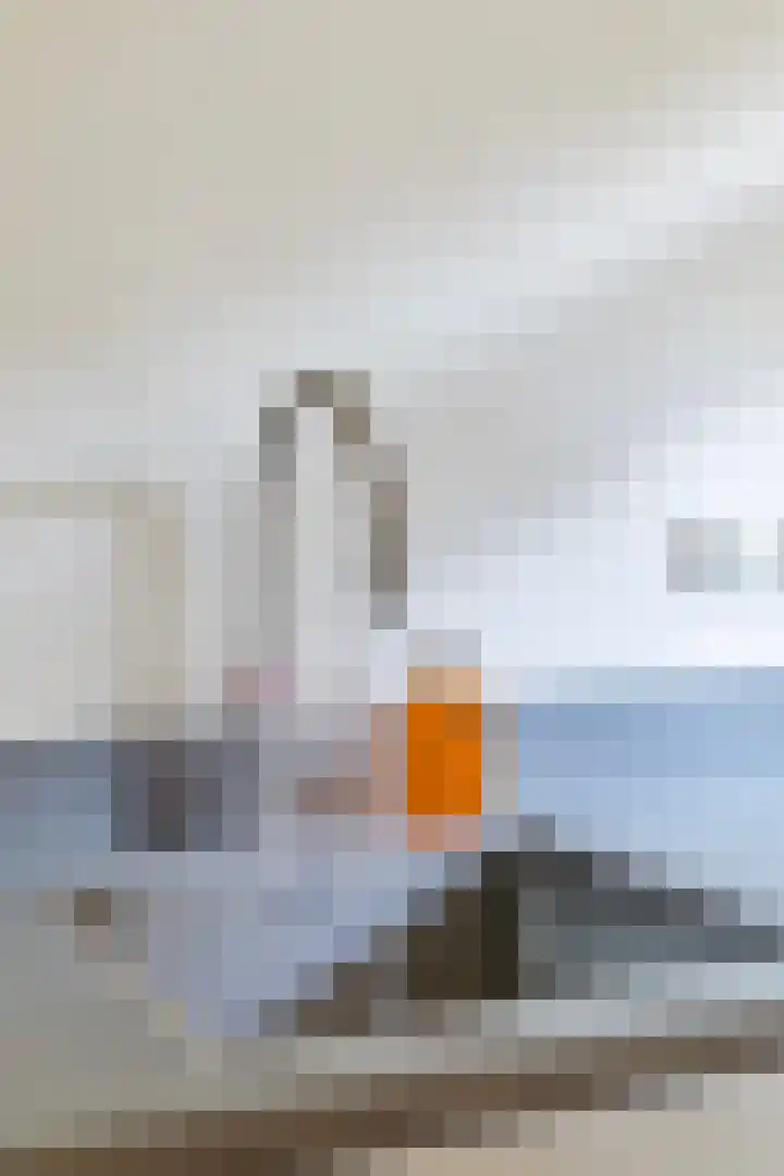 Helper Brink 57 Groningen thumbnail 23
