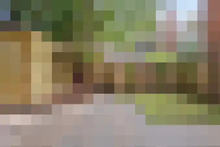 Helper Brink 57 Groningen thumbnail 34