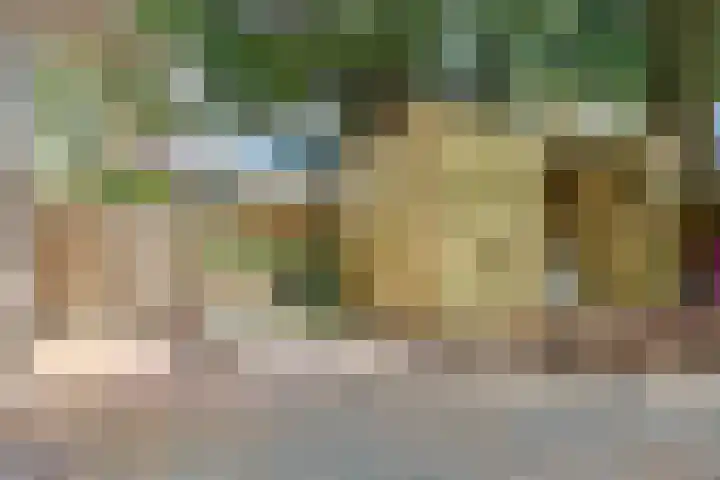 Helper Brink 57 Groningen thumbnail 35