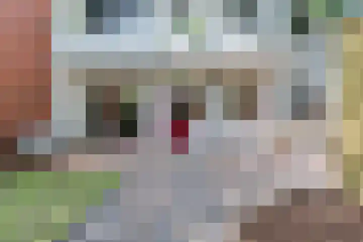Helper Brink 57 Groningen thumbnail 37