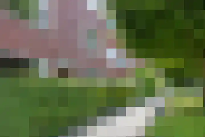 Helper Brink 57 Groningen thumbnail 38