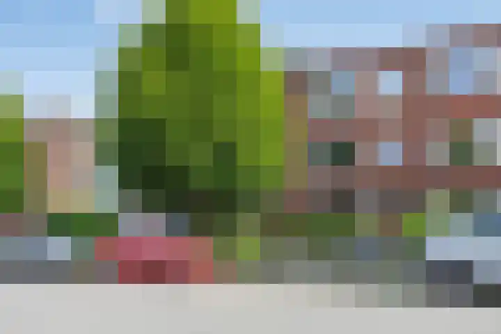 Helper Brink 57 Groningen thumbnail 39