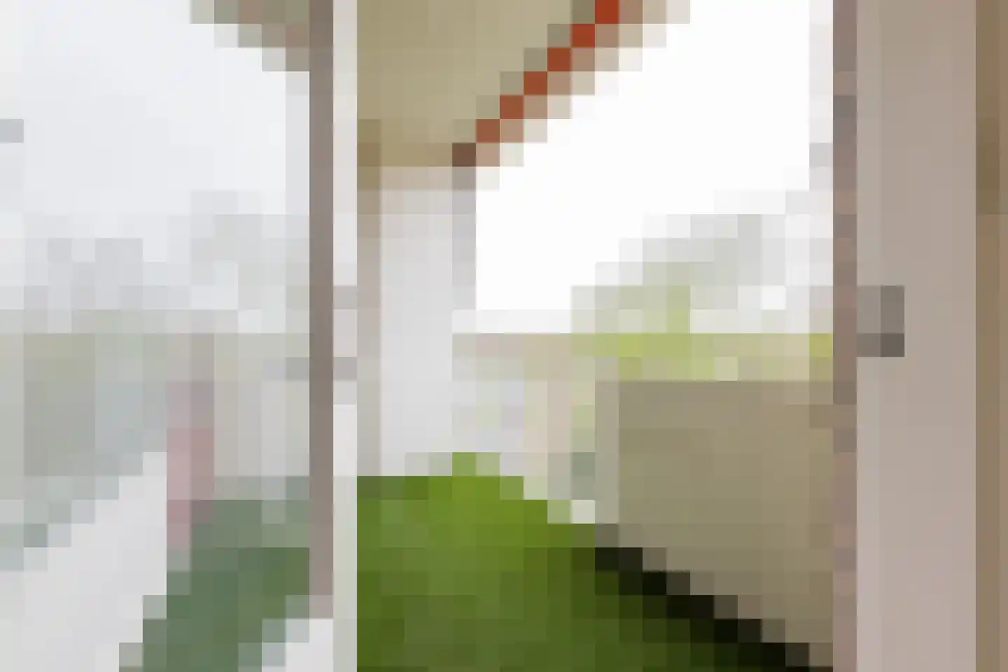 Helper Brink 61 142 Groningen thumbnail 18
