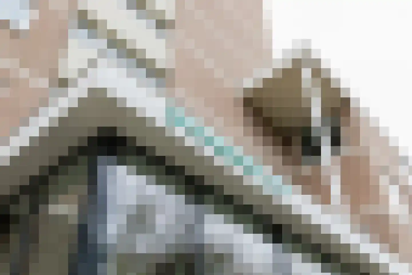 Helper Brink 61 142 Groningen thumbnail 7