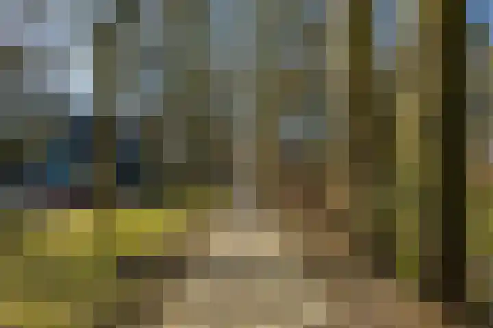 Helper Brink 61 148 Groningen thumbnail 10