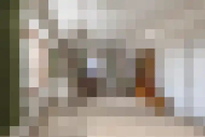 Helper Brink 61 148 Groningen thumbnail 21