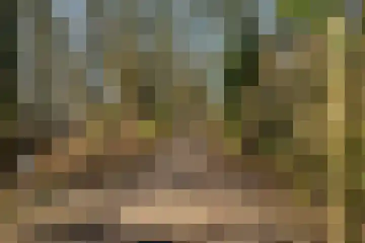 Helper Brink 61 148 Groningen thumbnail 7