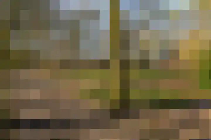 Helper Brink 61 148 Groningen thumbnail 8