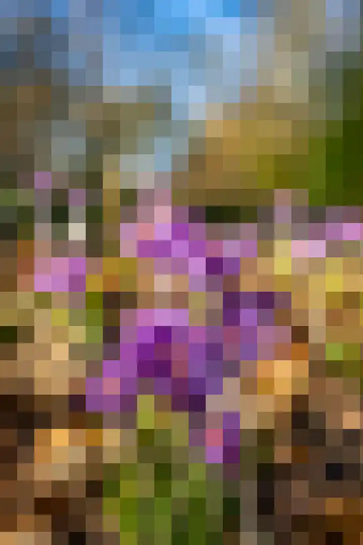 Helper Brink 61 148 Groningen thumbnail 9