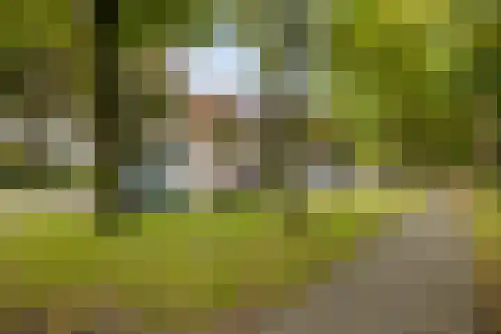 Helper Brink 61 156 Groningen thumbnail 12
