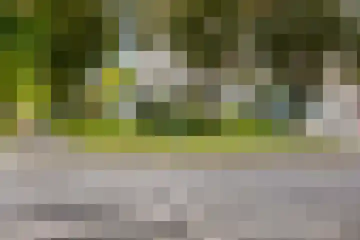 Helper Brink 61 156 Groningen thumbnail 13